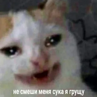 Sticker from Вп