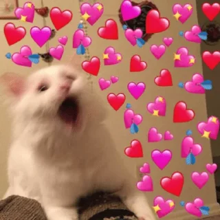 ♥️ emoji insane Telegram sticker 24 of 92
