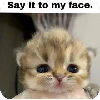 🫥 emoji insane Telegram sticker 23 of 92