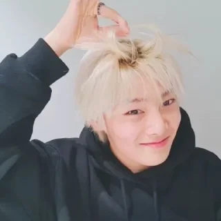💗 emoji Skz Telegram sticker 9 of 120