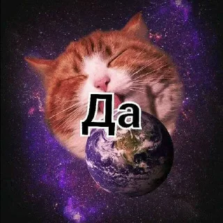 😜 emoji Для чата @cat_mafia_0 ➡️ @Ctikerubot Telegram sticker 7 of 75