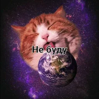 😏 emoji Для чата @cat_mafia_0 ➡️ @Ctikerubot Telegram sticker 21 of 75