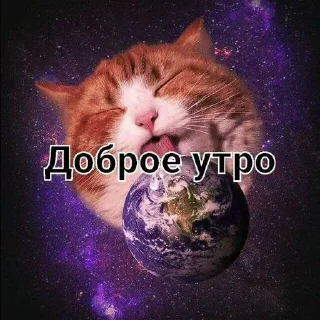😜 emoji Для чата @cat_mafia_0 ➡️ @Ctikerubot Telegram sticker 3 of 75