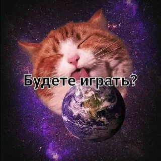 😜 emoji Для чата @cat_mafia_0 ➡️ @Ctikerubot Telegram sticker 17 of 75