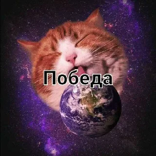 🥹 emoji Для чата @cat_mafia_0 ➡️ @Ctikerubot Telegram sticker 24 of 75