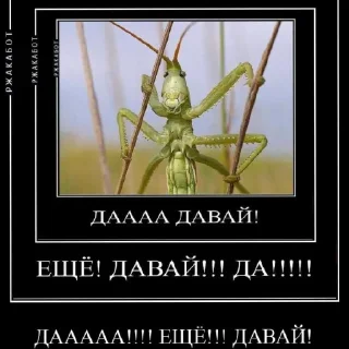 😃 emoji Ебнутые насекомые  @Deutsche_Katze_2228 Telegram sticker 16 of 28