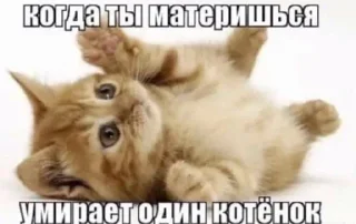 😇 emoji вдыдщаща @kkmadikk Telegram sticker 7 of 108