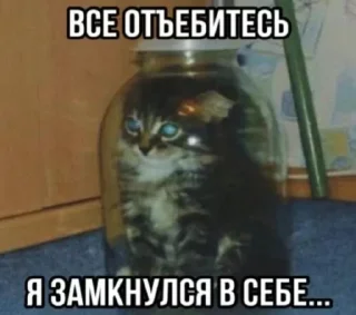 Sticker from котики @sinnette