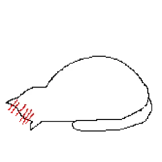 Sticker from The white cat
