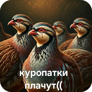 Sticker from КУРОПАТКИ