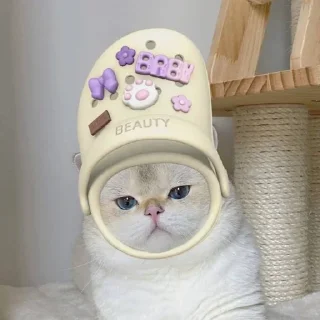 😦 emoji odd.cats Telegram sticker 18 of 32