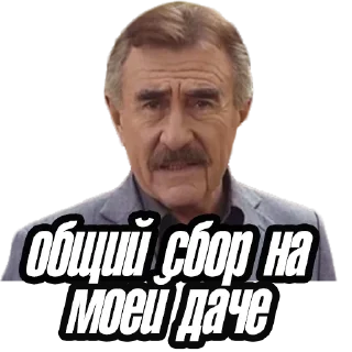 Sticker from Леонид Каневский @stickernayaa