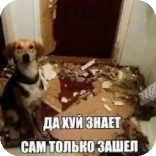 🐶 emoji создано @Love_tea234567 Telegram sticker 15 of 92