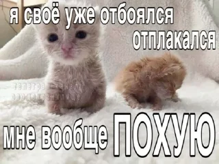 Sticker from Я НЕ СОБИРАЮСЬ..