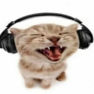 🎧 emoji russian agent Telegram sticker 15 of 109