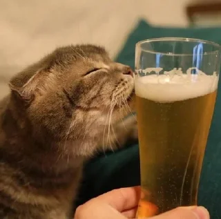 🍺 emoji хуянские пряники Telegram sticker 5 of 42