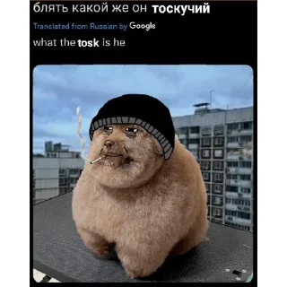 😭 emoji ЕБУЧИЙ Telegram sticker 17 of 24