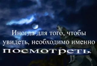 🐺 emoji мудрость валков Telegram sticker 14 of 77