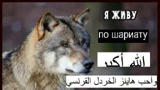 🐺 emoji мудрость валков Telegram sticker 16 of 77