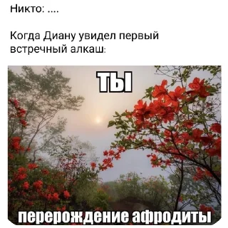 🌸 emoji Диана Telegram sticker 11 of 23