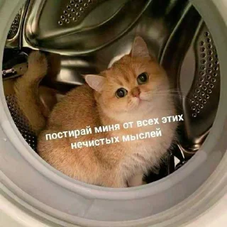 😍 emoji я пиздюк. ➡️ @Ctikerubot Telegram sticker 23 of 25