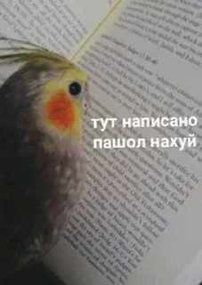 😭 emoji я пиздюк. ➡️ @Ctikerubot Telegram sticker 8 of 25