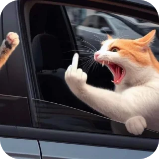 🐱 emoji мики маус Telegram sticker 17 of 26