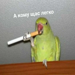 😒 emoji я пиздюк. ➡️ @Ctikerubot Telegram sticker 5 of 25