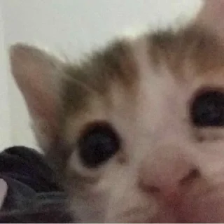 😶 emoji Стикер пак от @Velgit_woh Telegram sticker 20 of 101