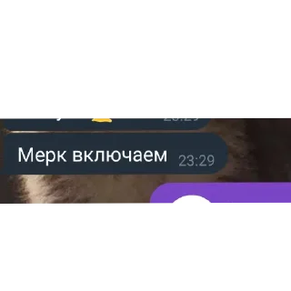 🛋 emoji Чип и Дэйл Telegram sticker 22 of 33