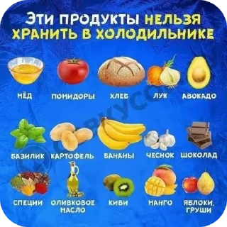 🖼 emoji ТАПАТЬ ХОМЯКА Telegram sticker 15 of 37