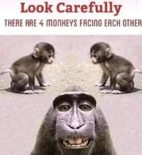 Sticker from monke gang