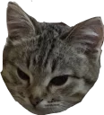Sticker from Макс