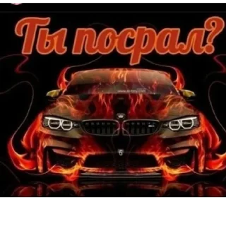 🥸 emoji Пипидастр Telegram sticker 19 of 38