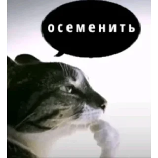 Sticker from агроидный пидор ёбаный