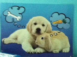 Sticker from Dog_ToP🐶