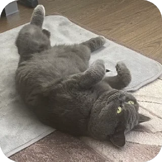 🫥 emoji пак для богинесс Telegram sticker 17 of 115