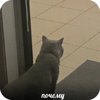 🫥 emoji пак для богинесс Telegram sticker 5 of 115