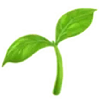 🌱 emoji зелёненький𓂃 от @miasku Telegram sticker 5 of 6