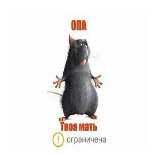 😎 emoji твоя мать красавица ➡️ @Ctikerubot Telegram sticker 5 of 12