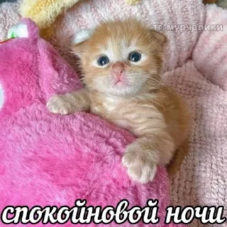 Sticker from Шиза камыша 2