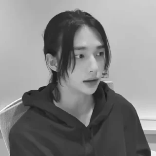 🕸 emoji hy @hyunjinoke Telegram sticker 23 of 39