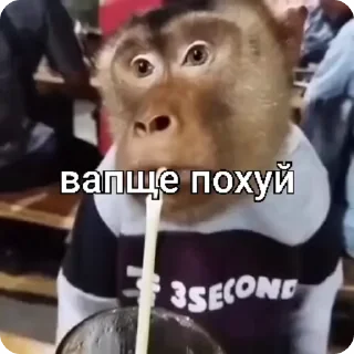 😵‍💫 emoji Алиса лучшая Telegram sticker 14 of 38