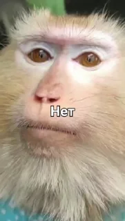 😅 emoji Алиса лучшая Telegram sticker 24 of 38