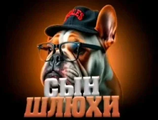 Sticker from путангенамо бо бо