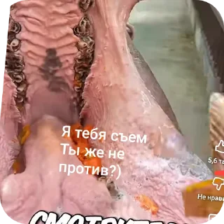 Sticker from Лол
