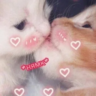 💋 emoji Кисëши^^ Telegram sticker 19 of 67
