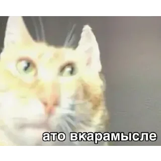 🗿 emoji Мемы для АуТиСтОв Telegram sticker 10 of 120