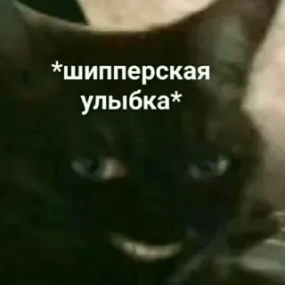 😏 emoji Мемы для АуТиСтОв Telegram sticker 16 of 120