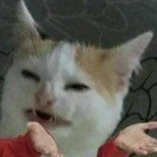 🤨 emoji Мемы для АуТиСтОв Telegram sticker 21 of 120